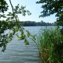 Jezioro Miejskie - panoramio (1)